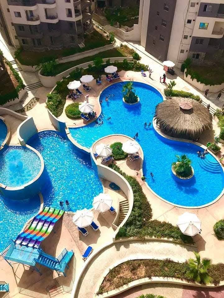 499758814_1231464201909842_6009852544085848277_n